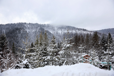 Beautiful landscape with forest on snowy winter day