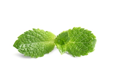 Fresh green mint leaves on white background