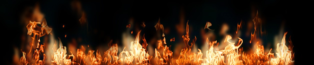 Bright fire flames on black background. Banner design