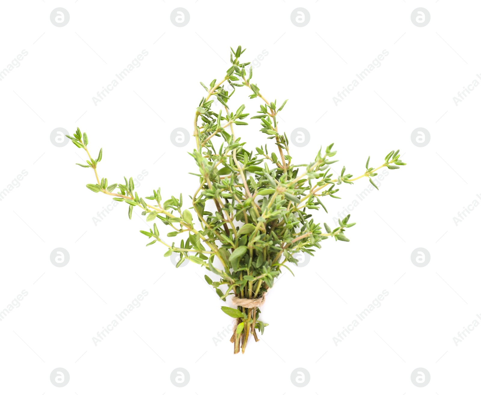 Photo of Bunch of fresh thyme isolated on white