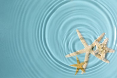 Image of Starfishes washed by sea water, top view. Space for text