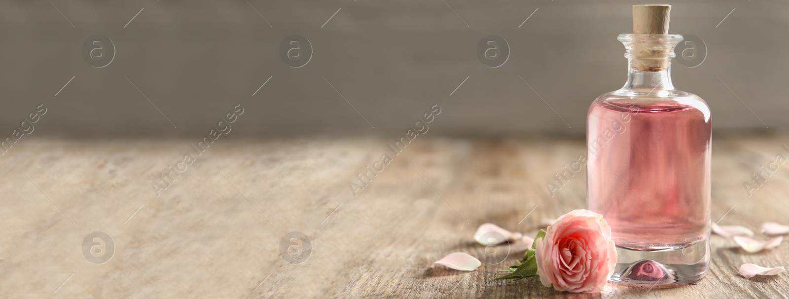 Image of Bottle of rose essential oil and flower on wooden table, space for text. Banner design