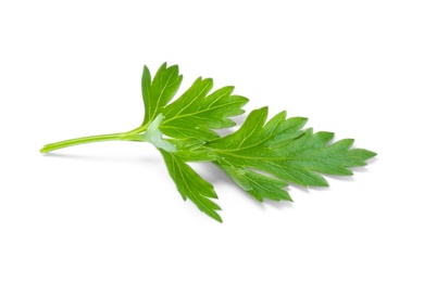 Photo of Fresh green organic parsley on white background