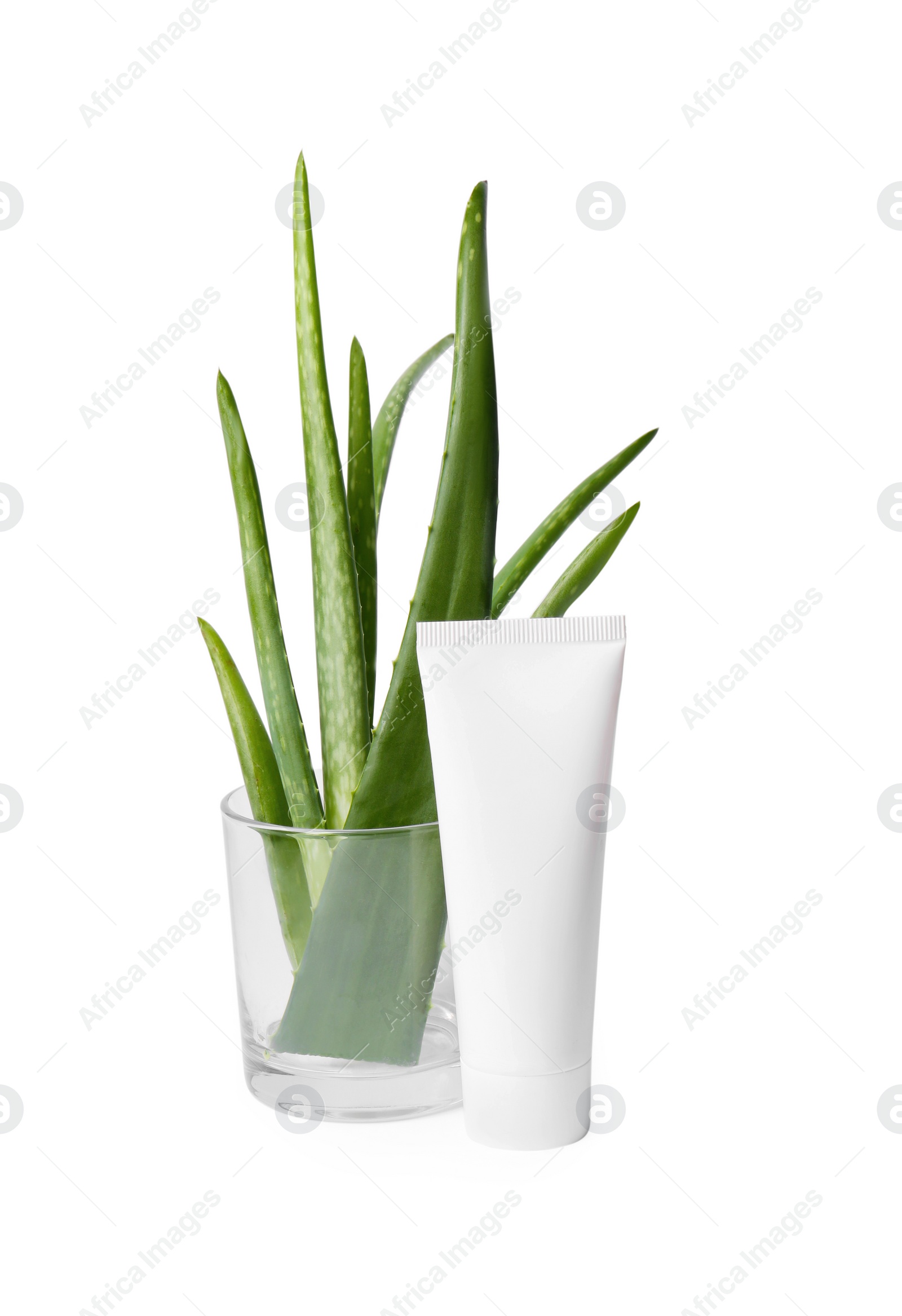 Photo of Aloe vera toothpaste in blank tube and green leaves isolated on white