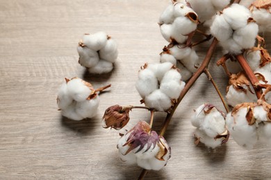Photo of Dried cotton branch with fluffy flowers on wooden table, closeup