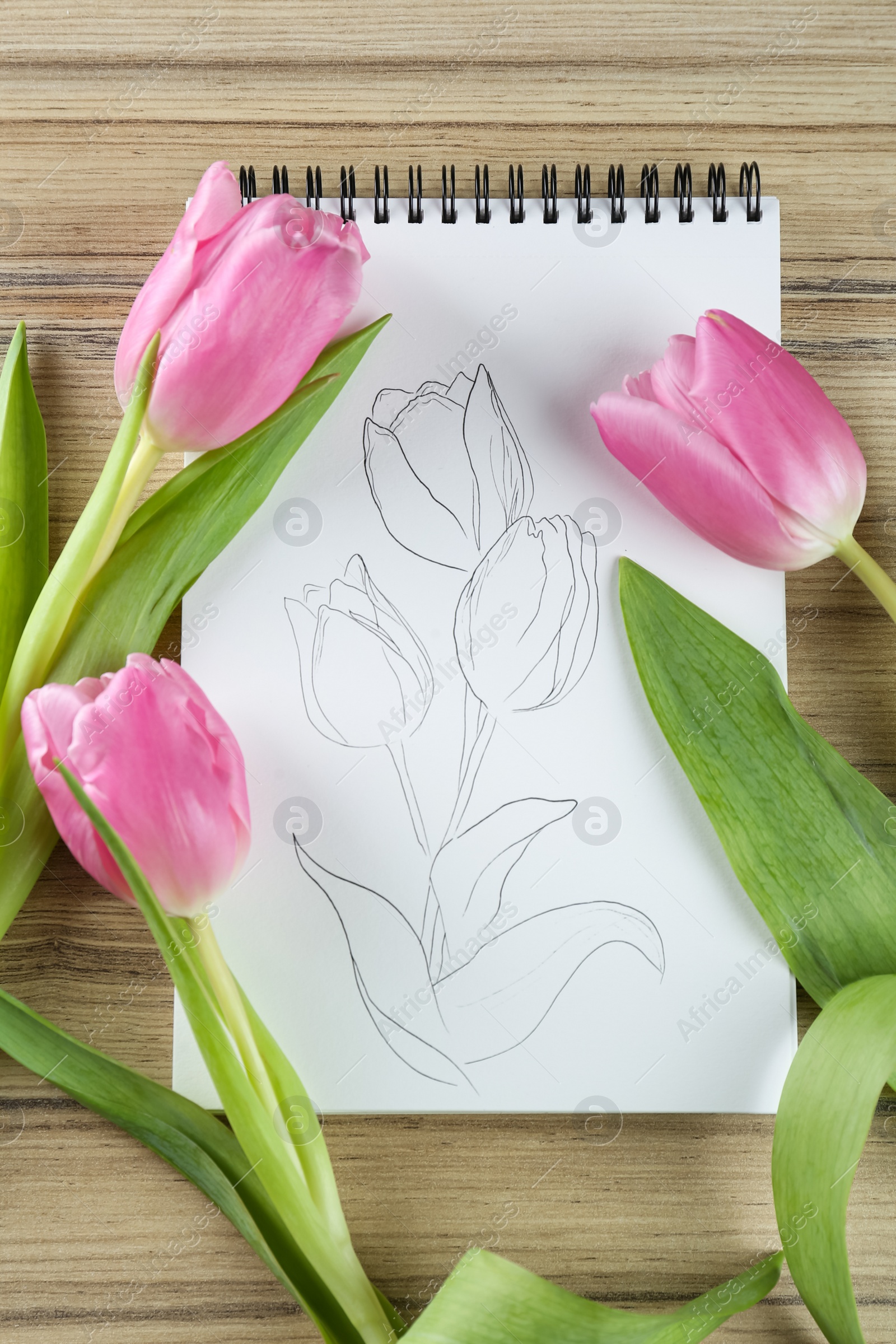 Photo of Sketch of tulips in notebook and flowers on wooden table, flat lay