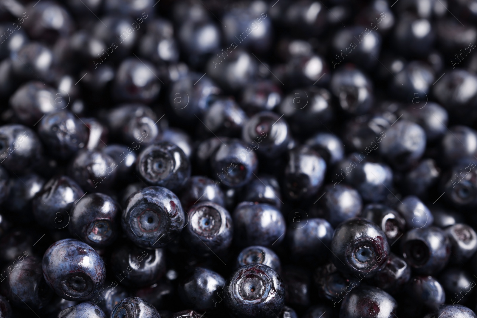 Photo of Many tasty fresh bilberries as background, closeup view