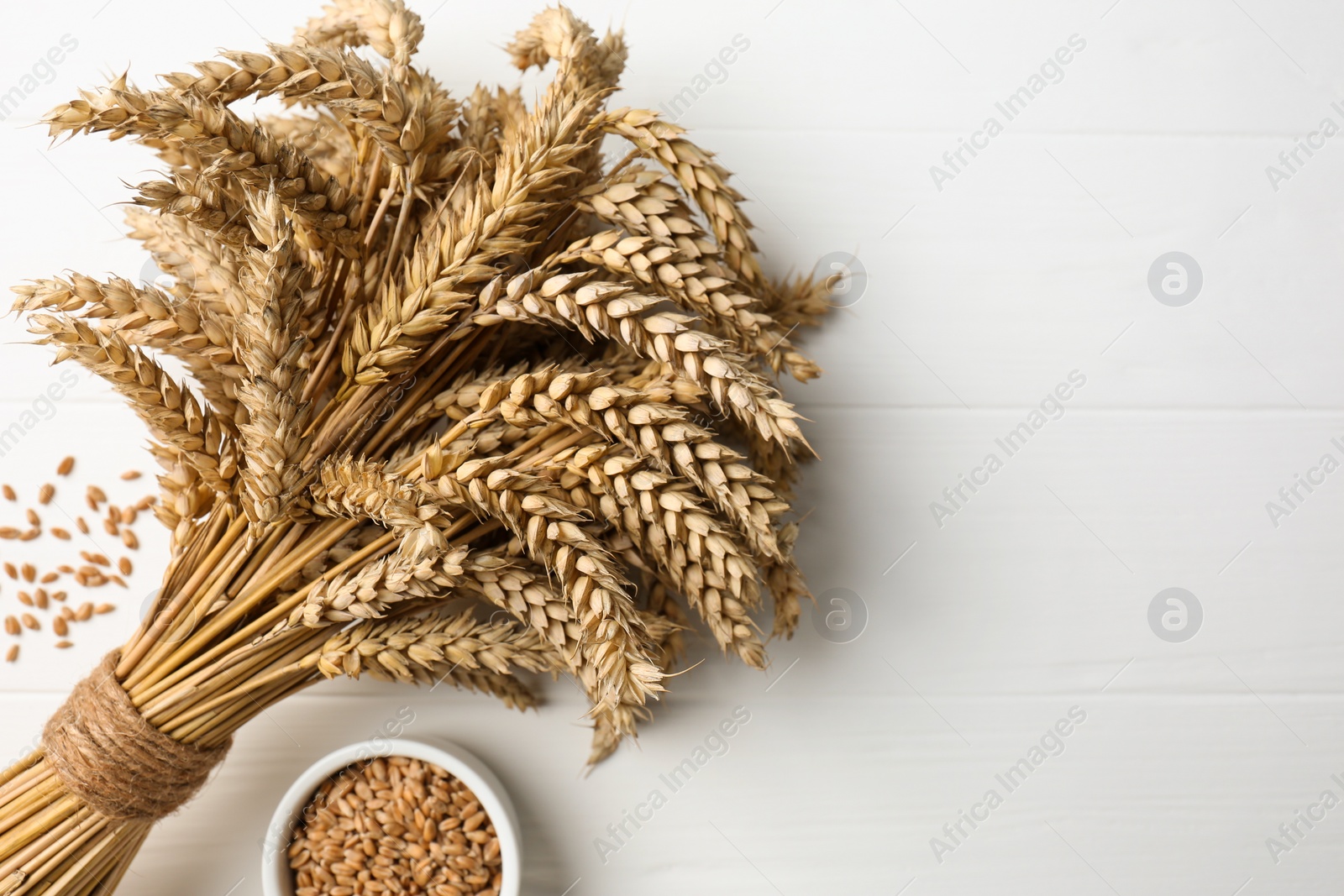 Photo of Bunch of wheat and grains on white wooden table, flat lay. Space for text