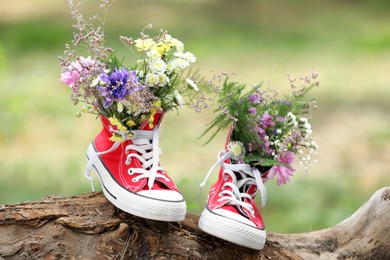 Beautiful flowers in shoes on log outdoors
