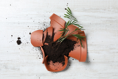 Broken terracotta flower pot with soil and plant on white wooden floor, flat lay