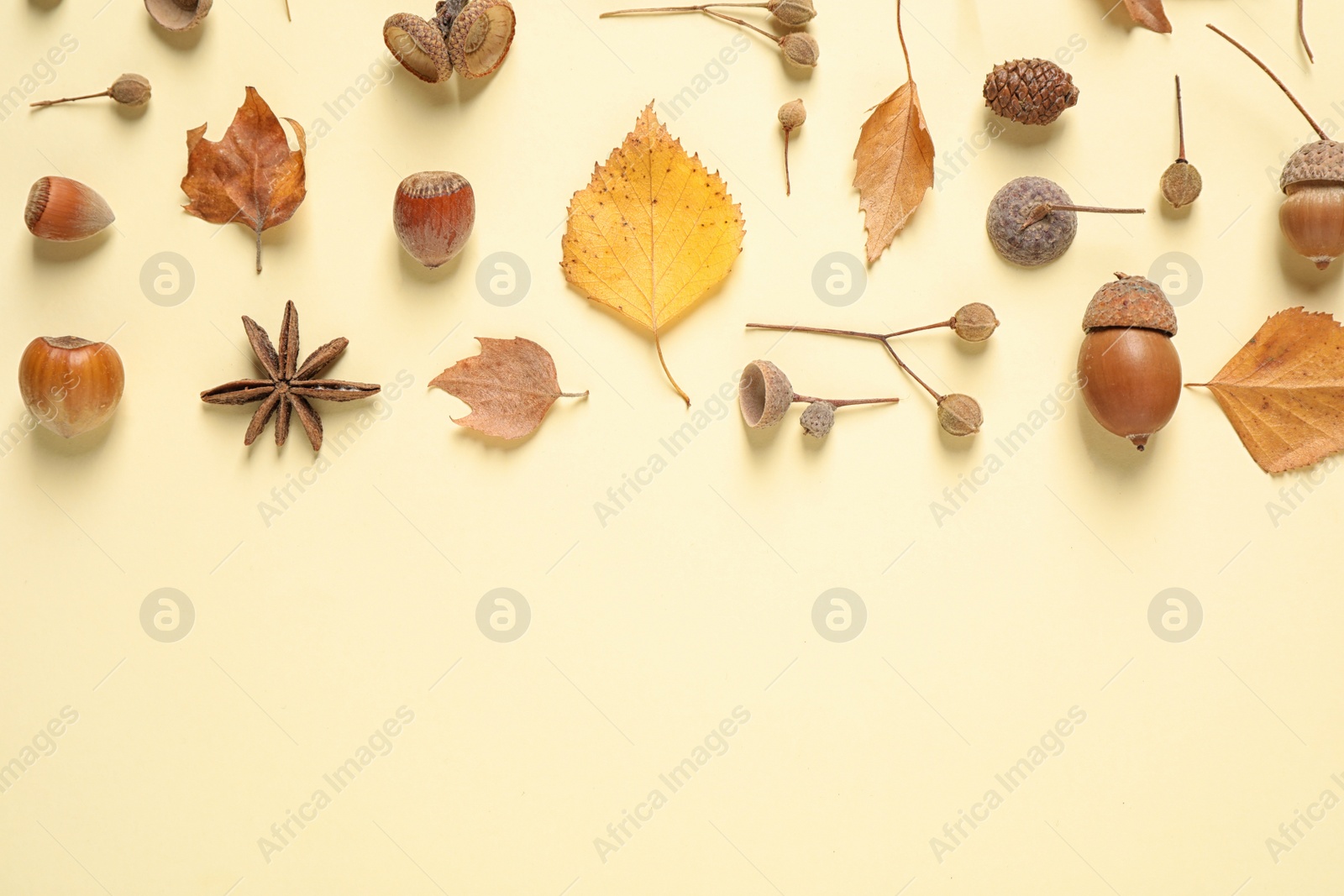 Photo of Flat lay composition with autumn leaves on beige background. Space for text