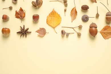 Flat lay composition with autumn leaves on beige background. Space for text