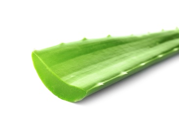 Photo of Aloe vera leaf on white background