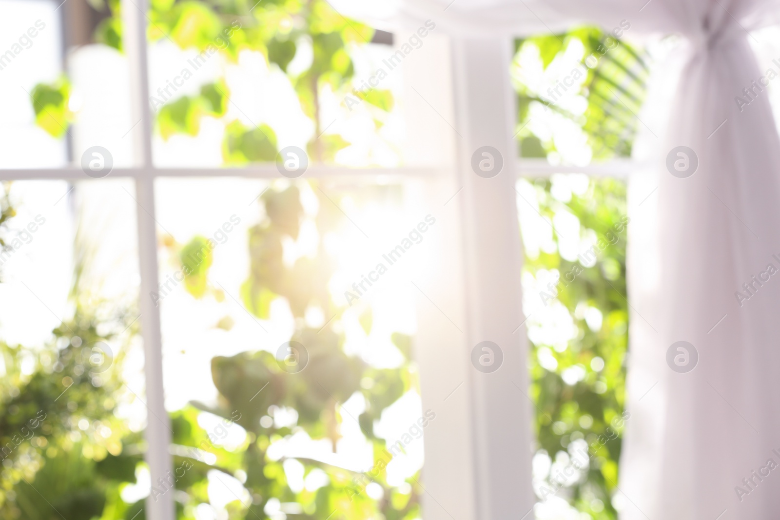 Photo of Blurred view through window on garden in morning