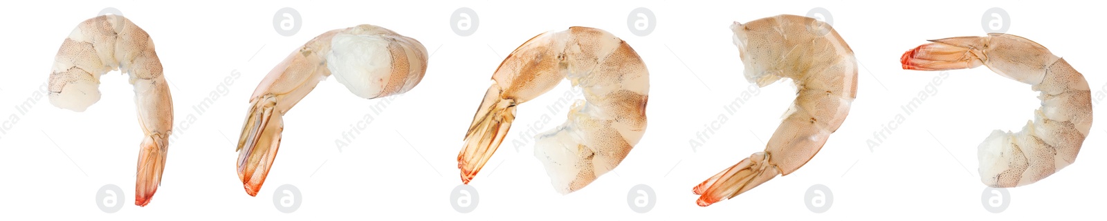 Image of Collage of raw shrimps on white background. Banner design