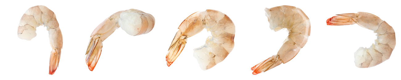 Image of Collage of raw shrimps on white background. Banner design