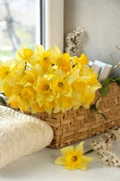 Beautiful yellow daffodils, plum tree branch and wicker basket on windowsill