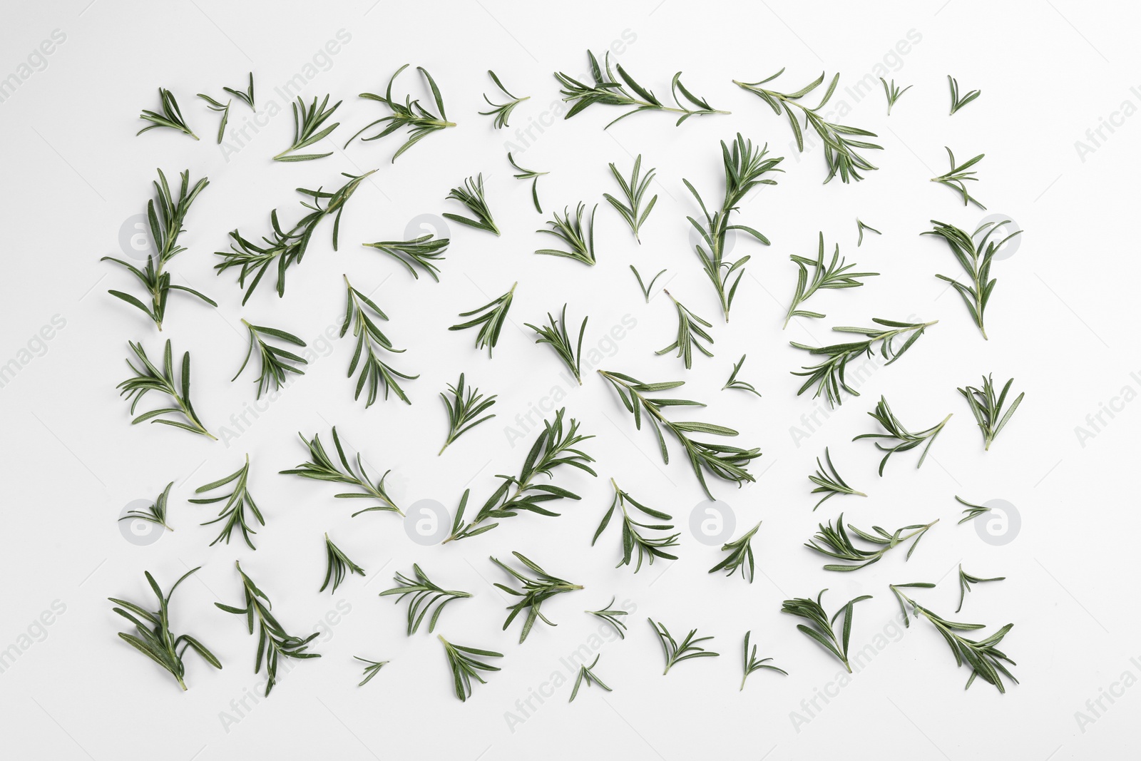 Photo of Composition with fresh rosemary on white background, top view