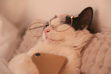 Cute cat with glasses and smartphone sleeping on bed at home, closeup