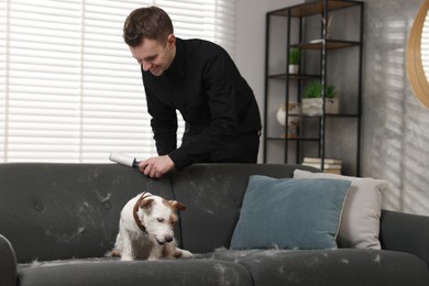 Pet shedding. Smiling man with lint roller removing dog's hair from sofa at home