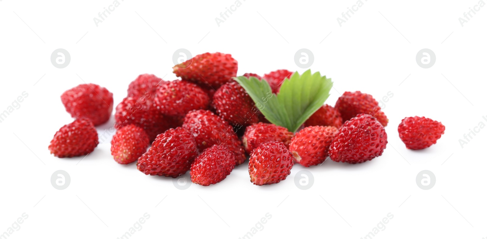 Photo of Ripe wild strawberries and green leaves isolated on white