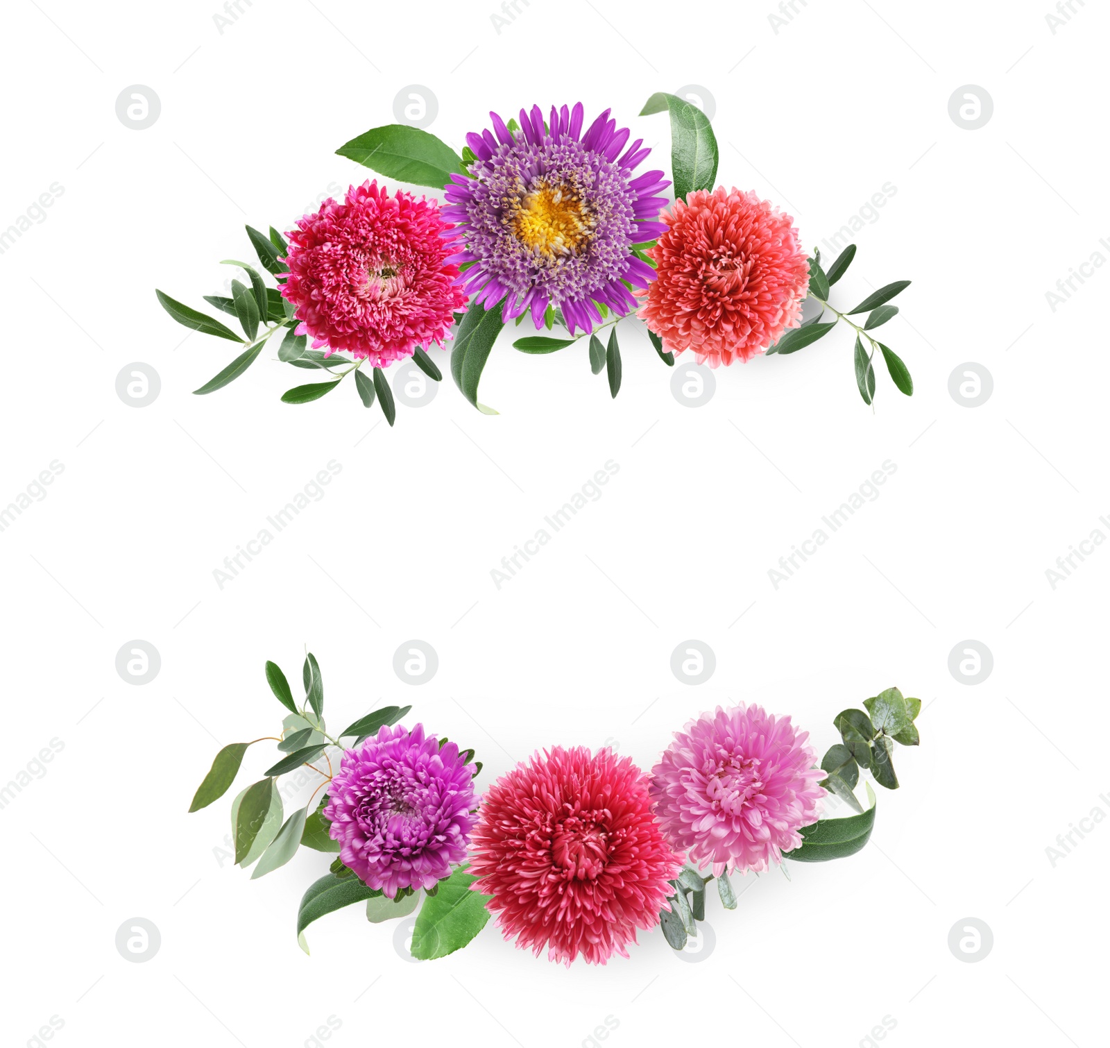 Image of Wreaths made of beautiful flowers on white background