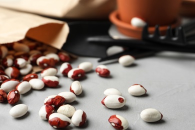 Photo of Paper bag with raw beans on grey table, closeup. Vegetable seeds