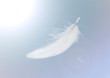 Image of Fluffy bird feather falling on lavender background