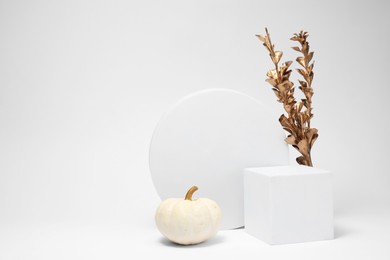 Autumn presentation for product. Geometric figures, pumpkin and golden branch with leaves on white background, space for text