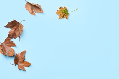 Photo of Dry autumn leaves on light blue background, flat lay. Space for text
