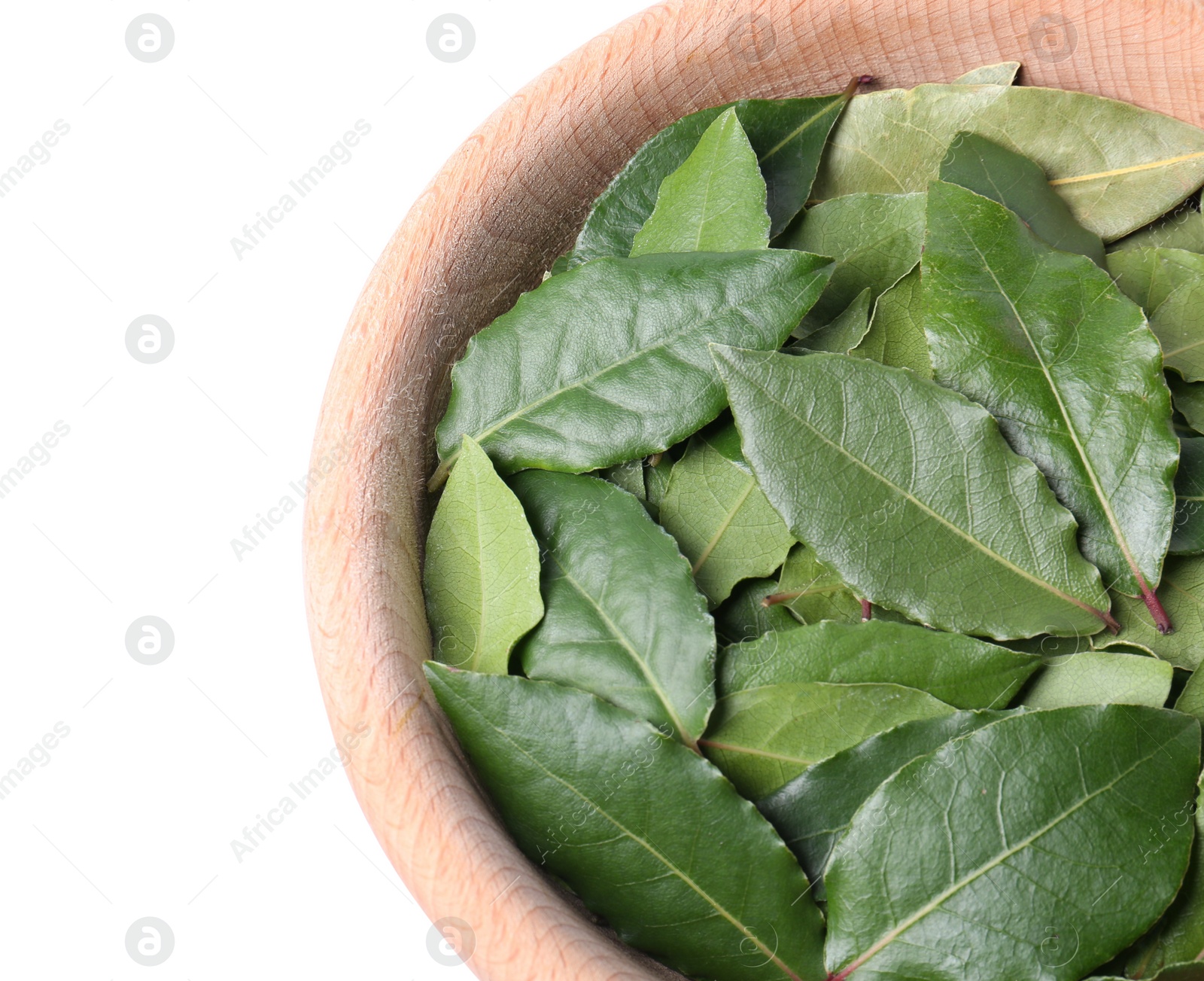 Photo of Bowl with fresh bay leaves on white background, above view. Space for text
