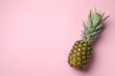 Photo of Fresh whole pineapple on pink background, top view. Space for text