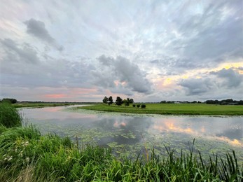 Picturesque view of river reeds and cloudy sky