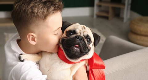 Photo of Little boy with cute pug dog at home