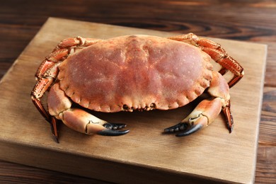 Photo of One delicious boiled crab on wooden table