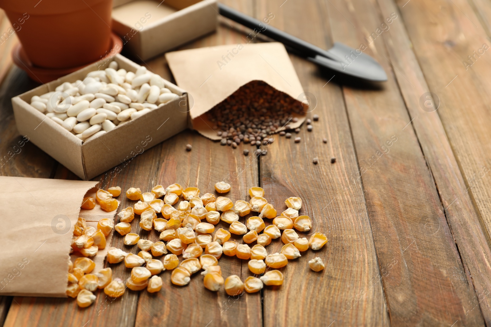 Photo of Different vegetable seeds and gardening trowel on wooden table