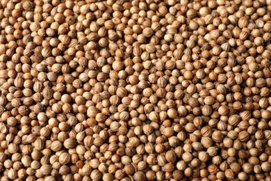 Photo of Dried coriander seeds as background, top view