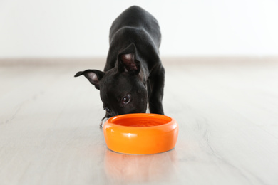 Cute little puppy near feeding bowl indoors. Baby animal