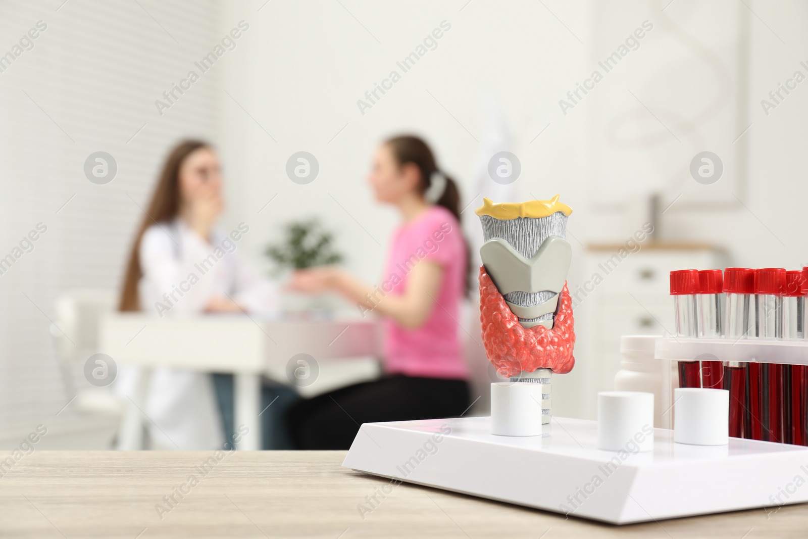 Photo of Endocrinologist examining patient at clinic, focus on model of thyroid gland and blood samples in test tubes