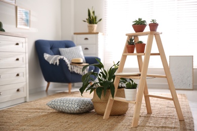 Stylish living room interior with wooden ladder and houseplants