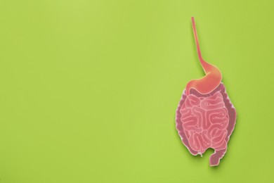 Paper cutout of small intestine on light green background, top view. Space for text