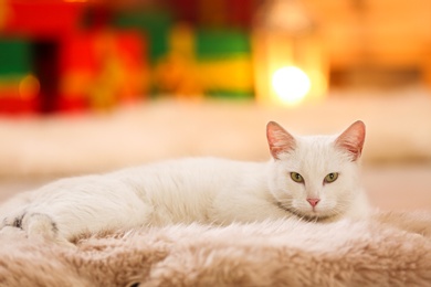 Photo of Cute white cat on fuzzy carpet in room decorated for Christmas. Adorable pet