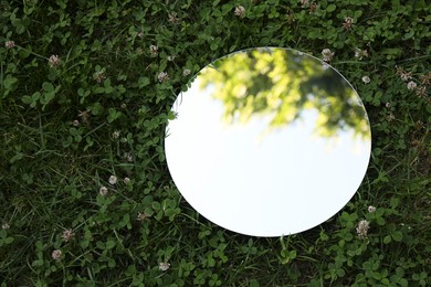 Photo of Round mirror among clovers reflecting tree and sky, above view. Space for text
