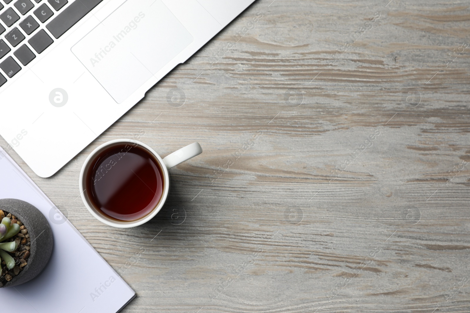 Ceramic mug of aromatic tea, laptop, book and houseplant on white wooden table, flat lay. Space for text Photo of Ceramic mug of aromatic tea, laptop, book and houseplant on white wooden table, flat lay. Space for text