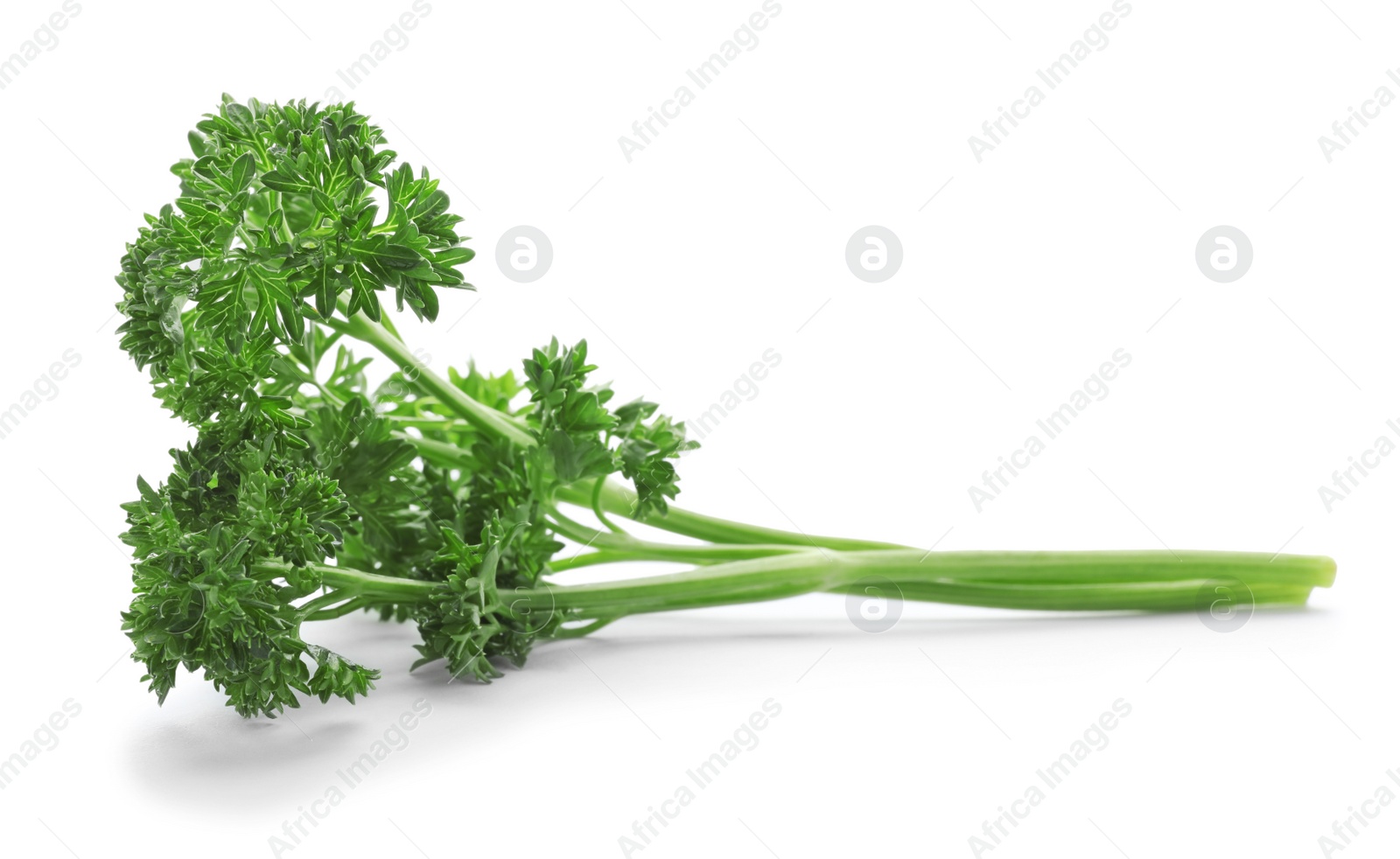 Photo of Fresh green parsley on white background