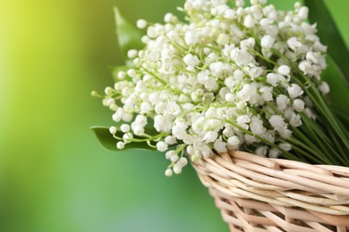 Wicker basket with beautiful lily of the valley flowers on blurred green background, closeup. Space for text