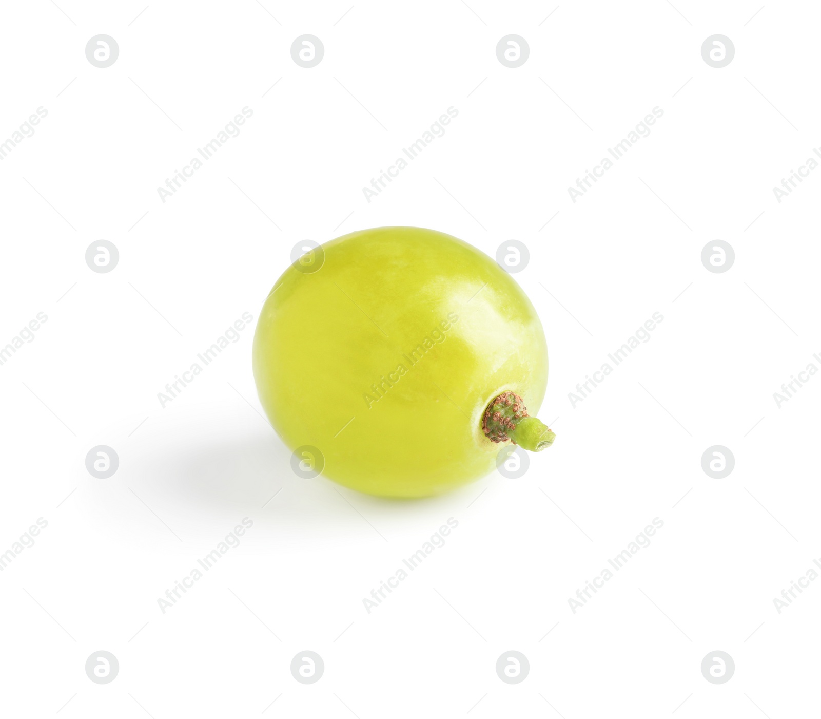 Photo of Delicious ripe green grape isolated on white