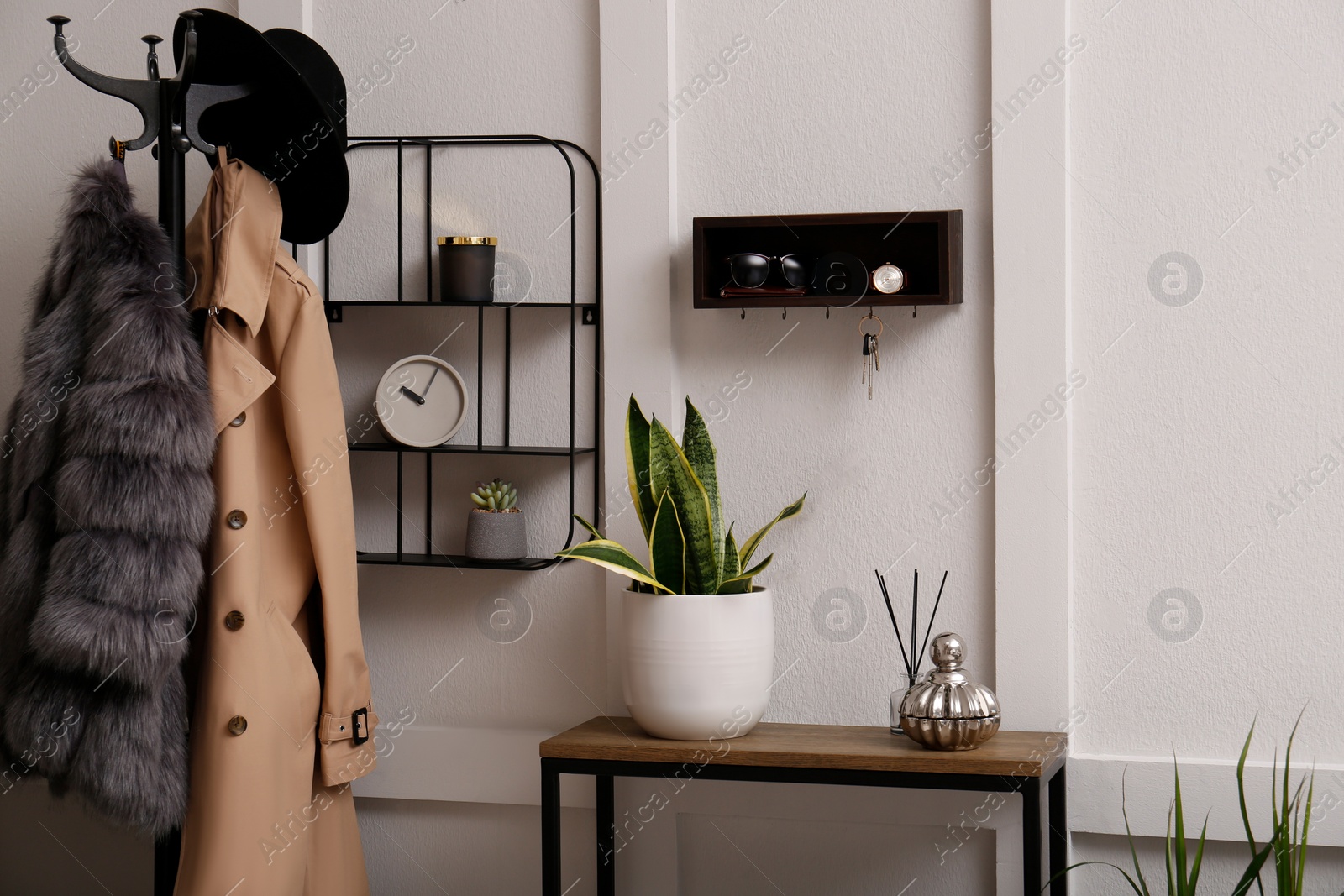 Photo of Stylish hanger for keys on white wall in hallway