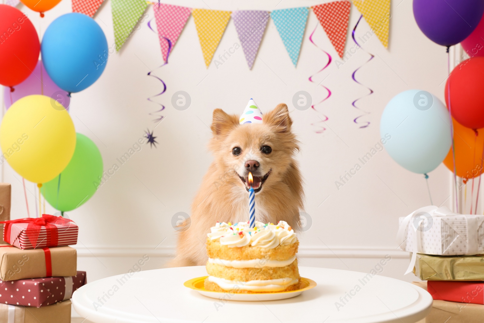 Photo of Cute dog wearing party hat at table with delicious birthday cake in decorated room