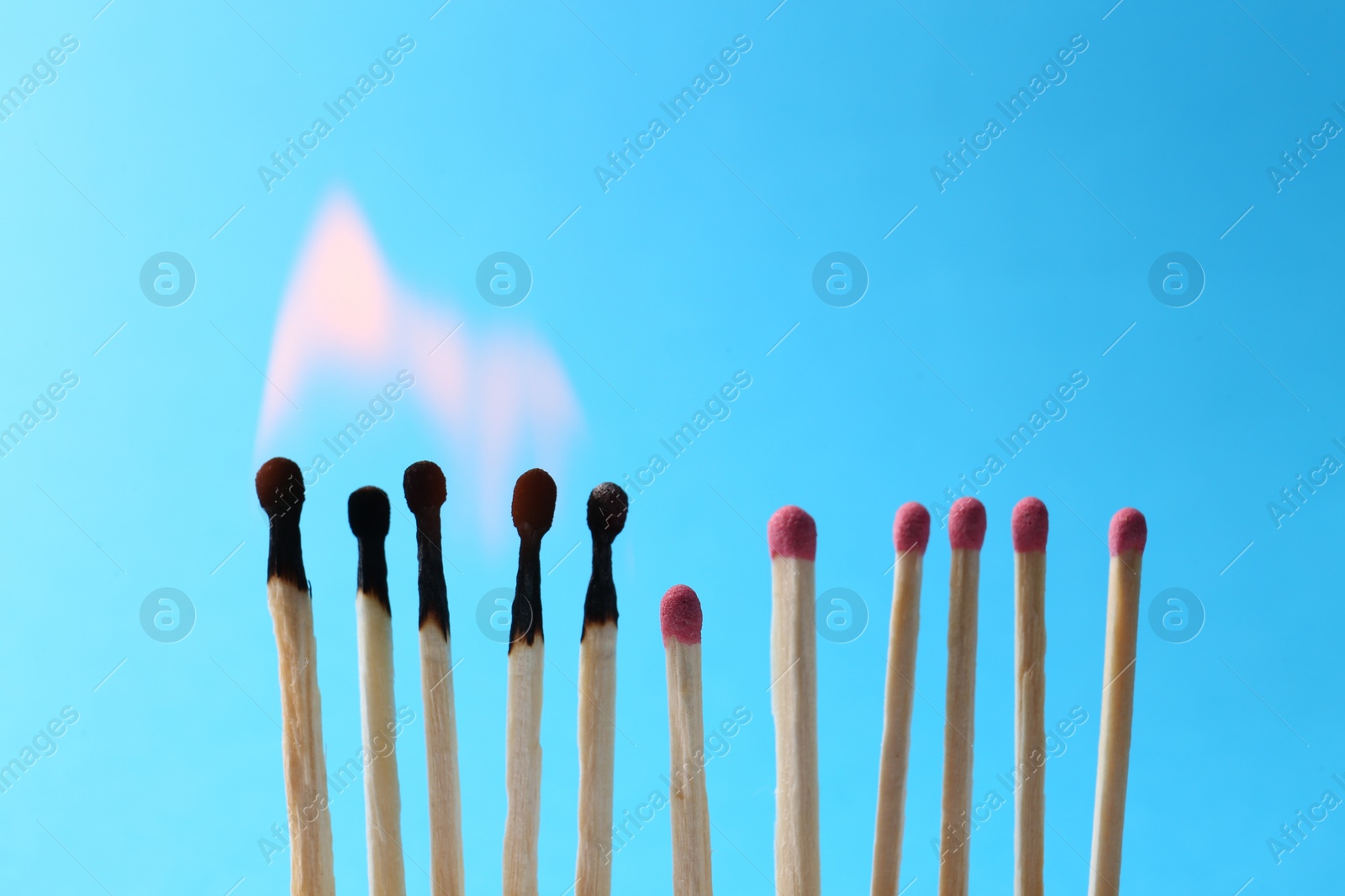 Photo of Burning and whole matches on light blue background. Space for text